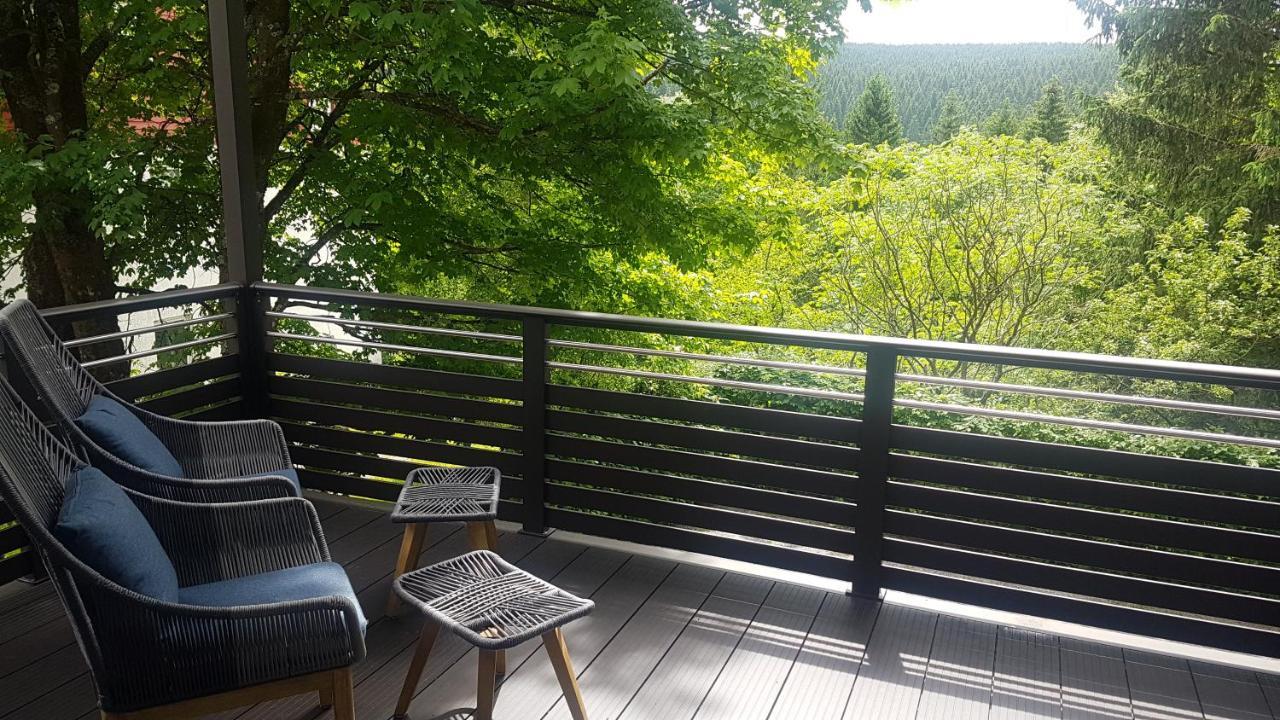 Pension & Ferienwohnung Oberhof 810 M ภายนอก รูปภาพ