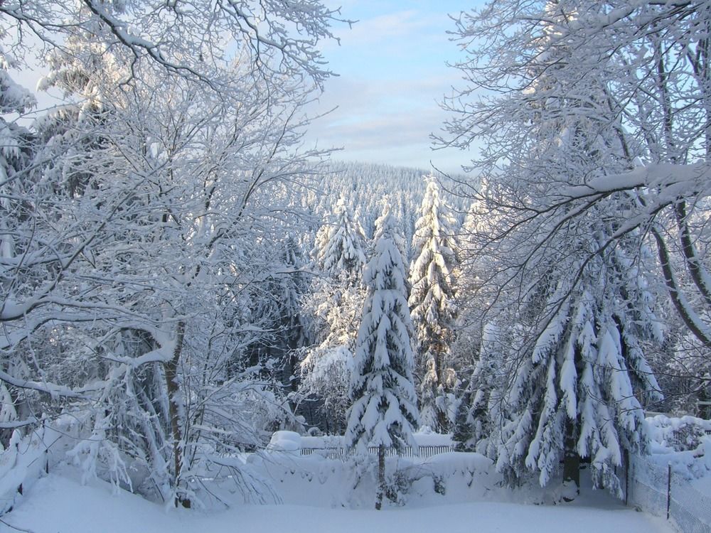 Pension & Ferienwohnung Oberhof 810 M ภายนอก รูปภาพ